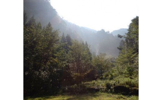 辭企弱ョ鬥吶j 逋偵@縺ョ繝舌せ繧ソ繧、繝