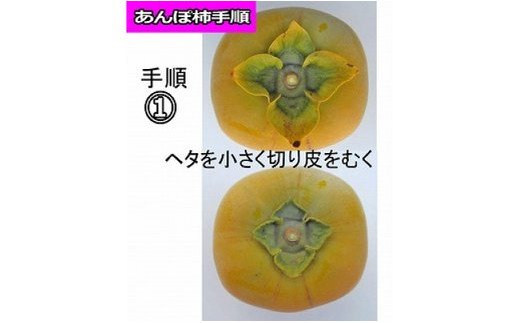 【県認定エコファーマー】あんぽ柿用生渋柿（平たねなし柿）約4.5～5kg-AP