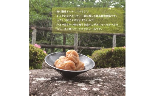 【贈答用】紀州南高梅 食べ比べセット 500g×2　（はちみつ・優梅）