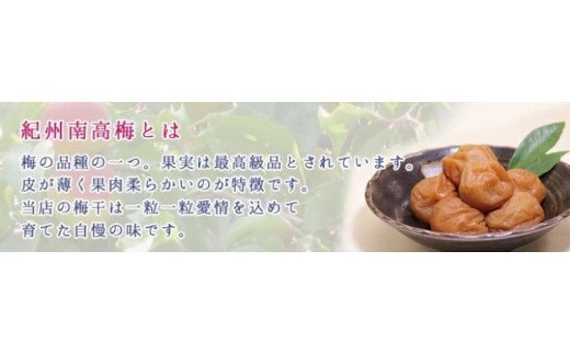 【贈答用】紀州南高梅 食べ比べセット 500g×2　（しそ・こんぶ風味）