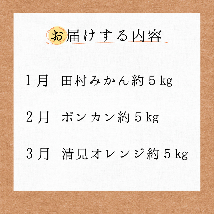 【3か月定期便】人気の柑橘を集めた！みかんの定期便