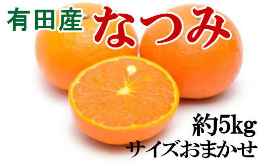 【希少柑橘】有田産なつみ約5kg（S～2Lサイズおまかせ） ※2024年4月上旬～下旬頃に発送予定（お届け日指定不可）