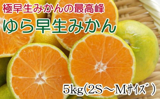 【極早生みかんの逸品】有田産ゆら早生みかん 約5kg※2024年10月中旬より順次発送