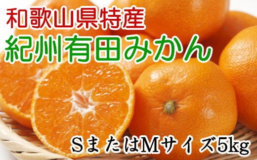 [秀品]和歌山有田みかん　5kg(SサイズまたはMサイズのいずれか) ※2024年11月中旬～1月中旬頃順次発送予定（お届け日指定不可）