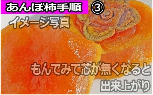 【県認定エコファーマー】あんぽ柿用生渋柿（平たねなし柿）約4.5～5kg-AP