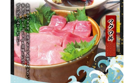 【期間限定 特別寄付額】本マグロ（養殖）トロ＆赤身セット 500g  【3月発送】高級 クロマグロ  中トロ 中とろ まぐろ マグロ 鮪 刺身 赤身 柵 じゃばらまぐろ 本マグロ 本鮪 【nks110B_cp-3】