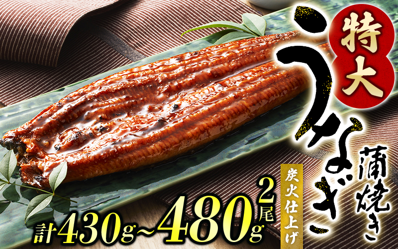 1尾約215g～240gのビッグサイズ うなぎ蒲焼 2尾 計約430g～480g （タレ・山椒付き） 【通常発送】【nks700C】