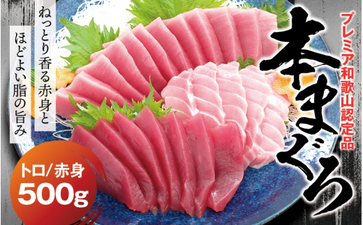 本マグロ（養殖）トロ＆赤身セット 500g 【１ヶ月以内に順次発送】【配達日指定不可】 高級 クロマグロ  中トロ 中とろ  まぐろ マグロ 鮪 刺身 赤身 柵 じゃばらまぐろ 本マグロ 本鮪【nks110E】