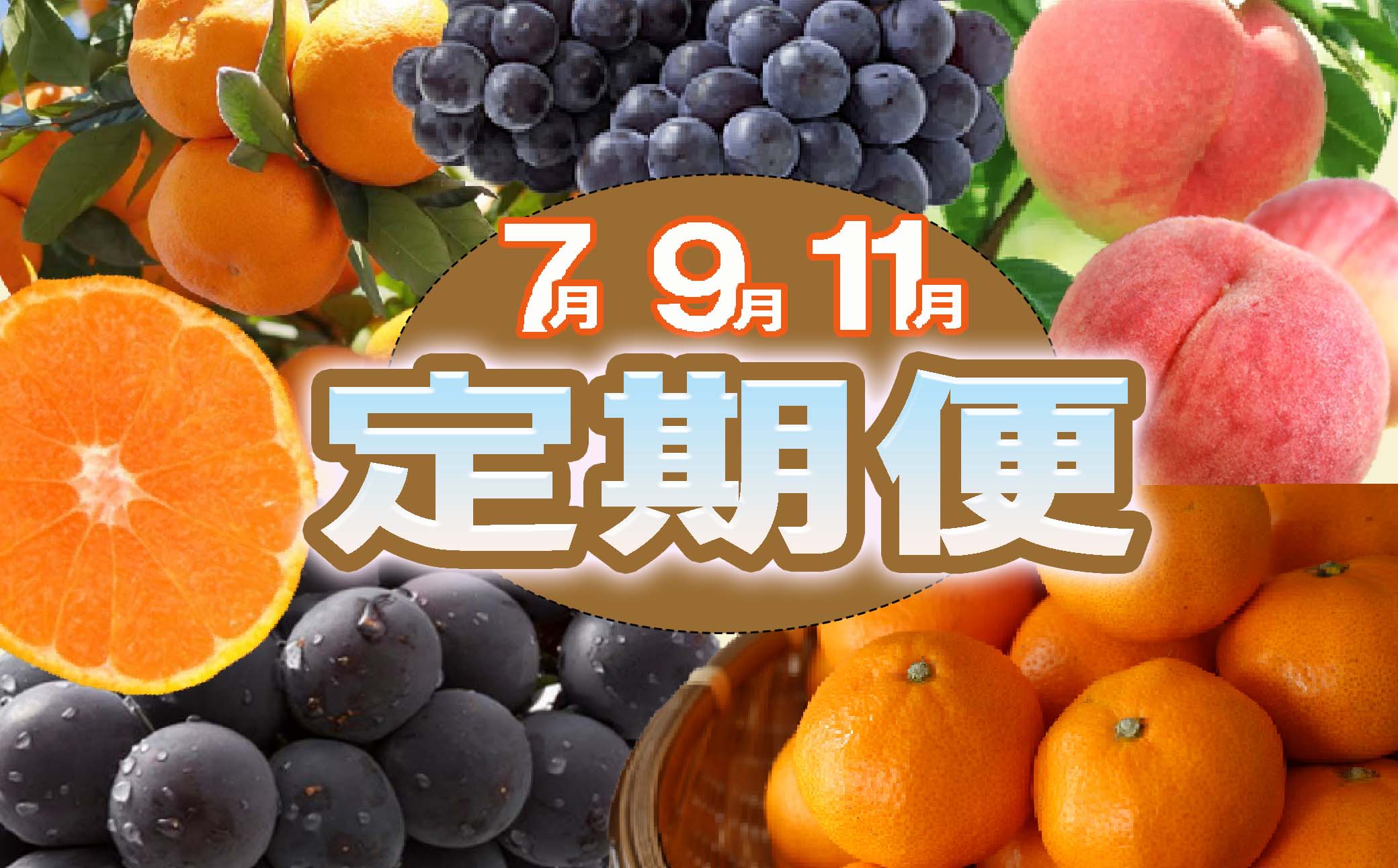 【定期便全3回】産直・和歌山フルーツ定期便（桃・ピオーネ・有田みかん）【tkb413】