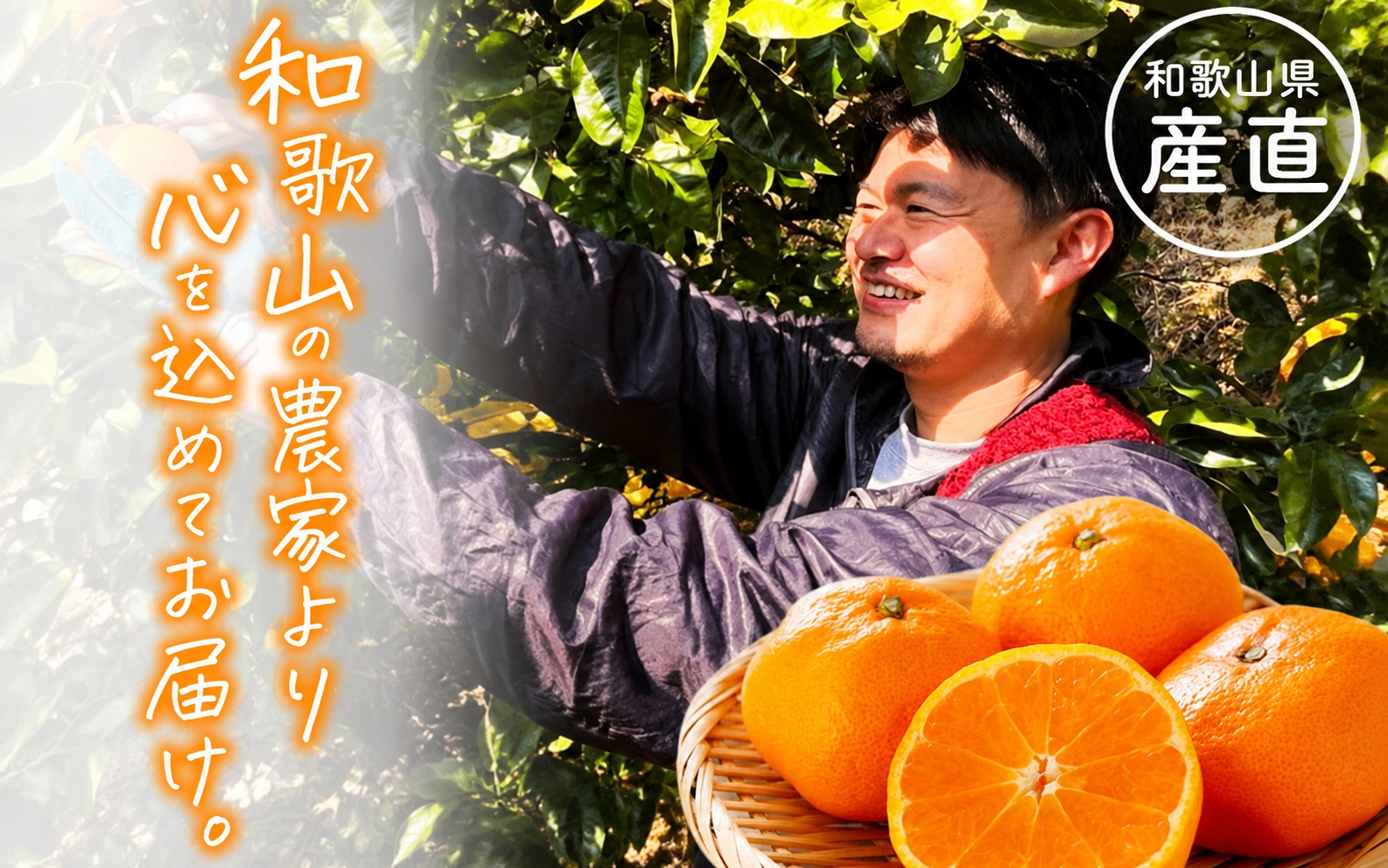 わかやま 旬の くだもの 定期便【Ｓ】 全3回 / フルーツ まりひめ いちご 小玉 すいか ※北海道・沖縄・離島への配送不可 （配送日時指定不可）※北海道・沖縄・離島への配送不可 / 定期便 フルーツ みかん いちご すいか 【ard-tkb908】