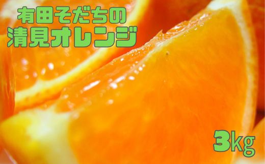 【2027年2月下旬～5月上旬順次発送予定】有田育ちの完熟清見オレンジ(ご家庭用)　約3kg+200g(補償分)【ard016C】