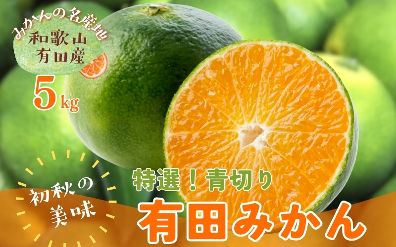 【先行予約】【初秋の美味】【農家直送】特選　青切り有田みかん　約5kg+200g(傷み補償分)【2026年9月中旬～10月上旬頃に順次発送予定】【ard044D】