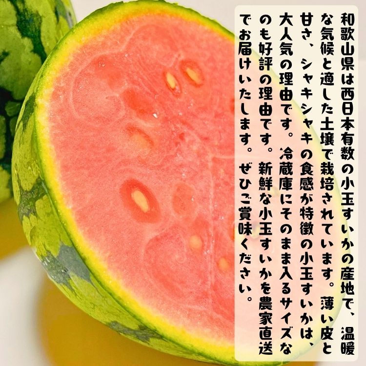 ãå
è¡äºçŽã蟲家çŽé å³éž å°çããã Mãµã€ãº/2çå
¥ã â»2027幎6æäžæ¬ã6æäžæ¬é ã«é 次çºéäºå®ïŒãå±ãæ¥æå®äžå¯ïŒãard176Bã