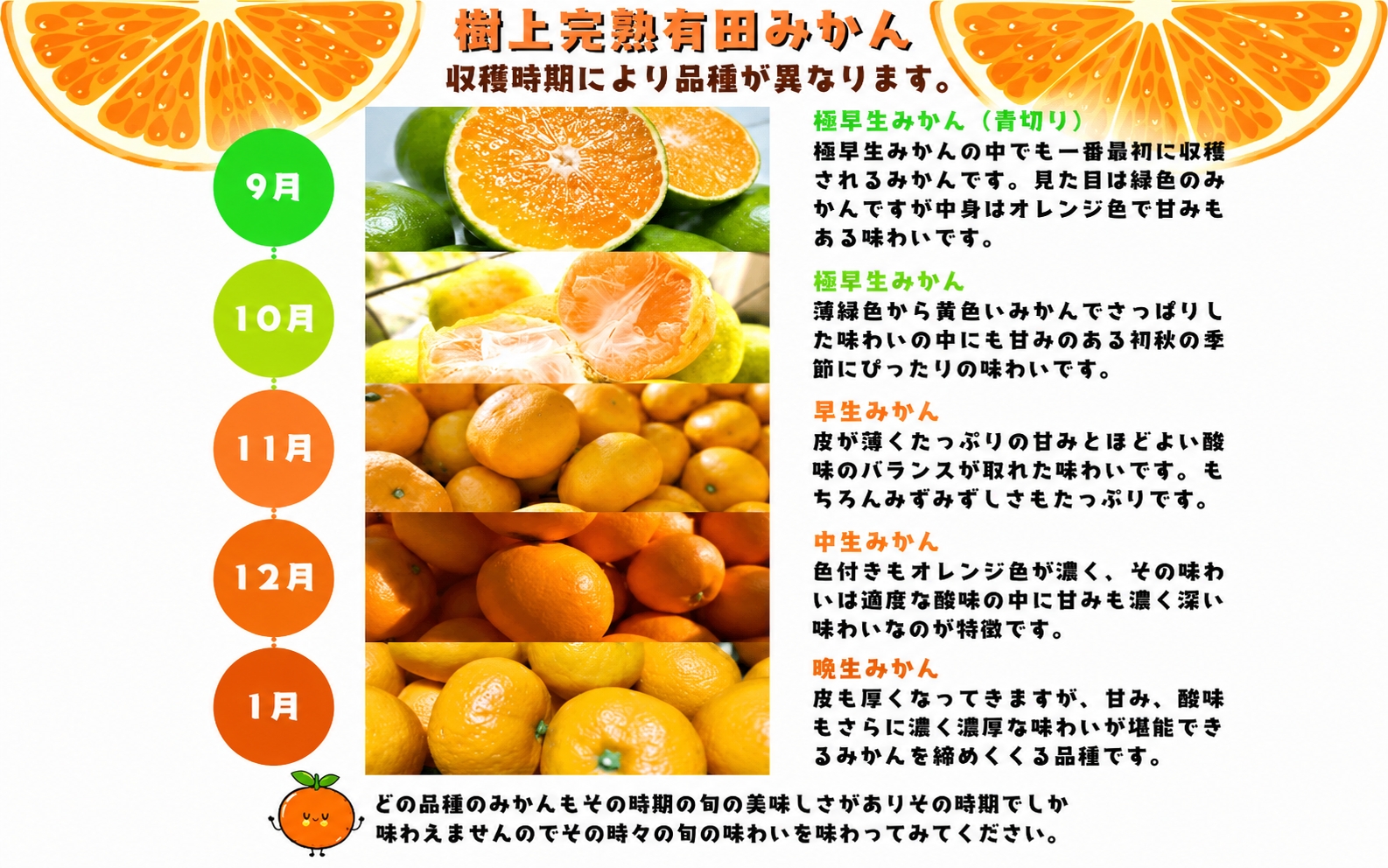 【2026年10月中旬〜11月中旬頃に順次発送予定】有田育ちの完熟有田みかん 家庭用 サイズ混合(2S〜2L)　約2.2kg(2kg+200g)【ard201E-10】
