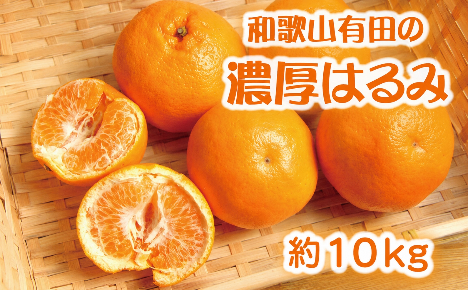 和歌山有田の濃厚はるみ 約10kg (S又はMサイズ)※2027年1月下旬～2月中旬順次発送予定/みかん 蜜柑 フルーツ 果物 【ard204】