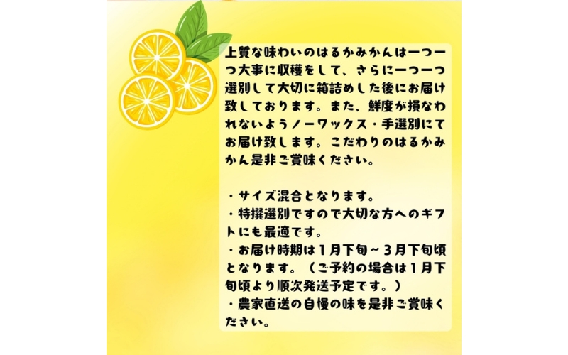 【先行予約】【人気柑橘】特撰はるか みかん約1.5kg+200g(傷み補償分) ※2027年1月下旬～3月下旬に順次発送予定 ※着日指定不可【ard248A】