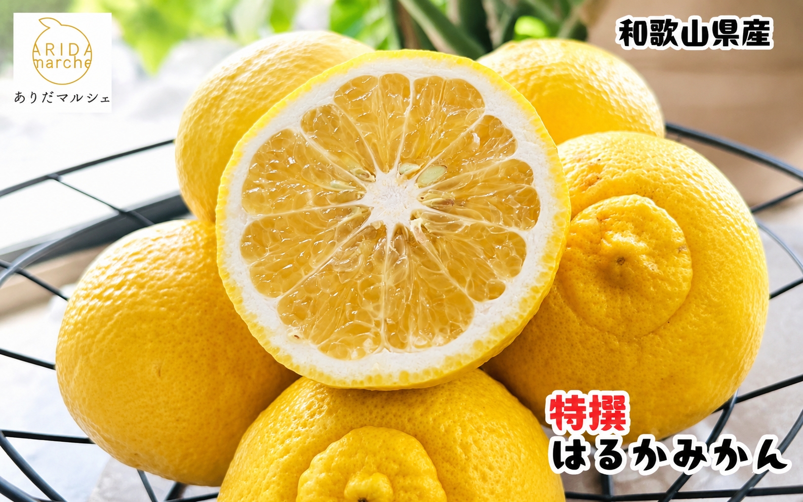 【先行予約】【人気柑橘】特撰はるか みかん約3kg+200g(傷み補償分) ※2027年1月下旬～3月下旬に順次発送予定 ※着日指定不可【ard249A】