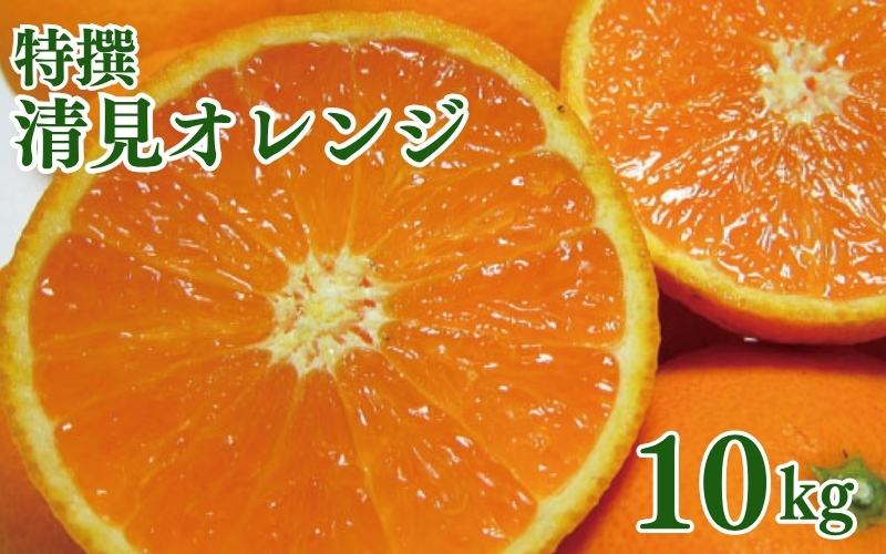特撰　清見オレンジ10kg+200g(補償分)【2027年2月下旬～5月上旬頃に順次発送予定】【ard263】