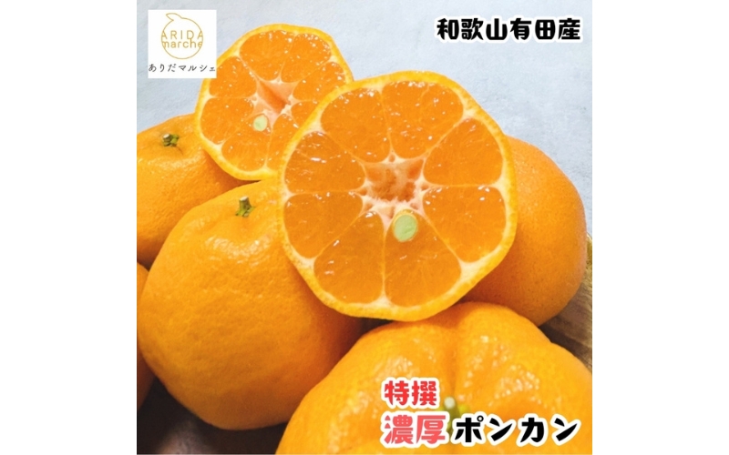 【先行予約】【極甘柑橘】特選 濃厚 ポンカン約1.5kg+200g(傷み補償分) ※2027年1月上旬～3月上旬に順次発送予定 ※着日指定不可【ard242A】