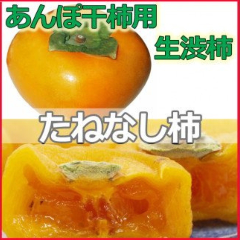 甘さが違う！とっても甘くなる生渋柿（平たねなし柿）あんぽ柿用 T軸枝無 約14.5～15kg　約60～90個＜2026年10月中旬～11月上旬ごろ順次発送＞-AP【art002B】