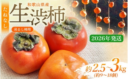 甘さが違う！とっても甘くなる生渋柿（平たねなし柿）吊るし柿用 T字枝or吊るしクリップ付 約2.5～3kg 約9～18個 １０月下旬～順次発送）(日付指定不可) -Ted【art040A】