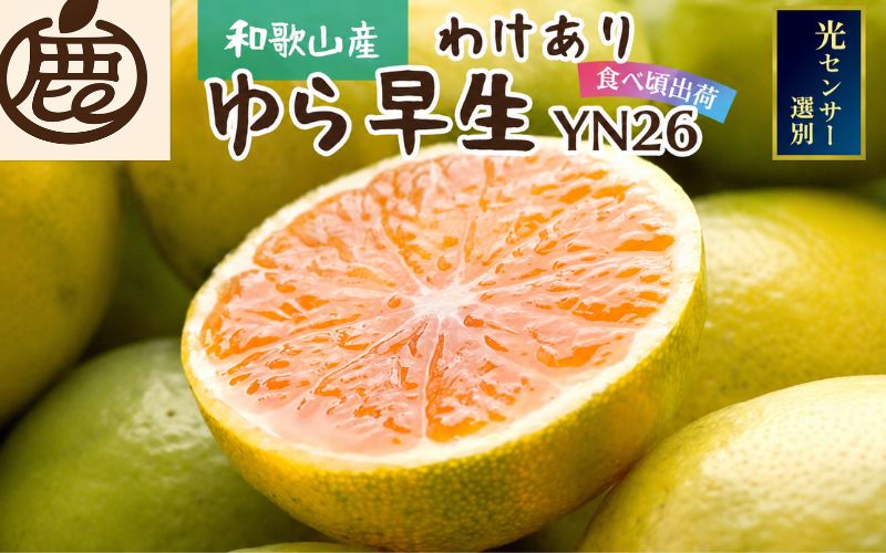 【先行予約】家庭用有田みかん サイズ混合(2S～2L) 2.5kg+250g  ※10月より発送(極早生) ※北海道・沖縄・離島への配送不可【ikd147C】