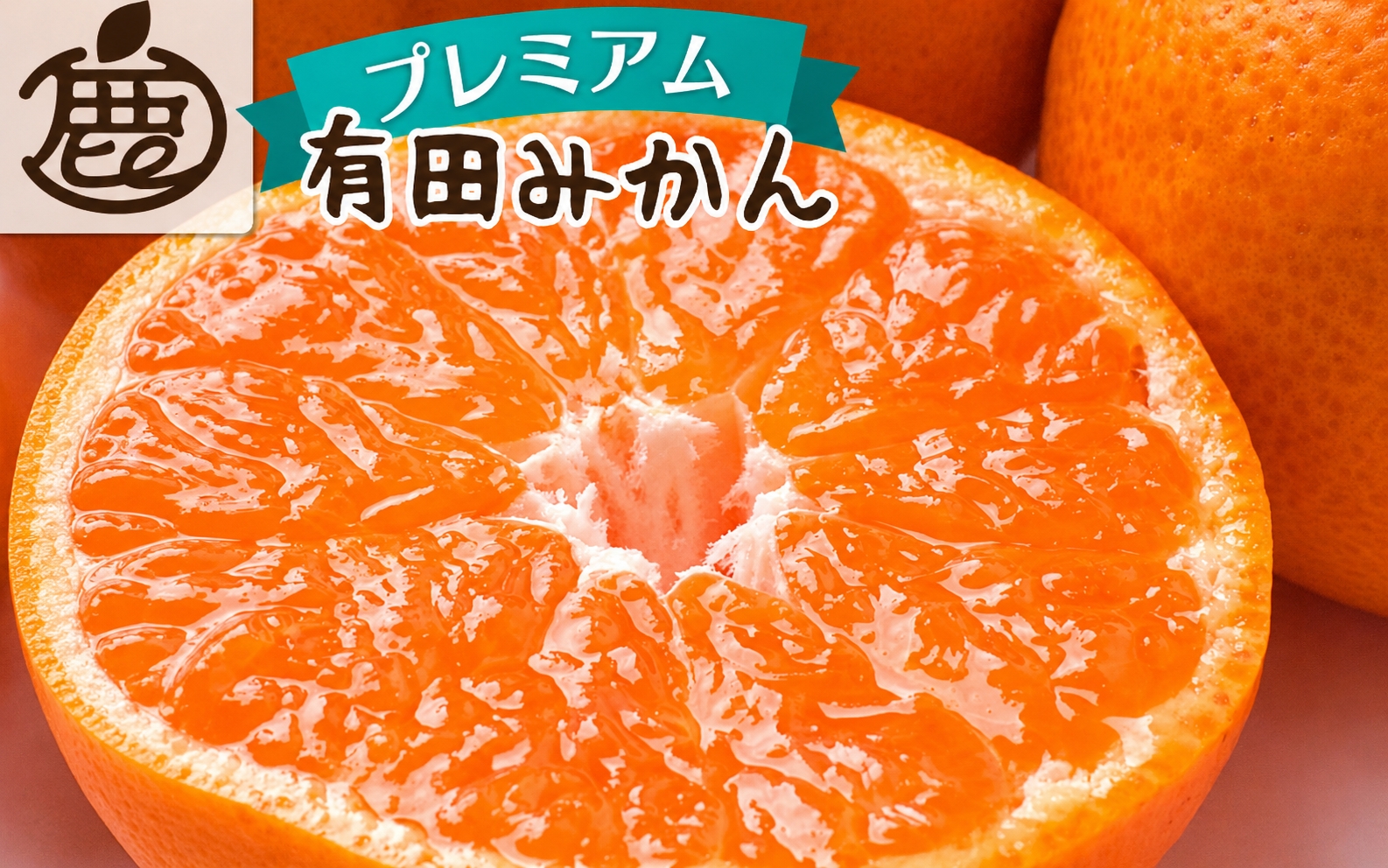 【先行予約】プレミアム有田みかん(完熟) 10kg+250g（傷み補償分） ※11月より発送【光センサー選果】 ※北海道・沖縄・離島配送不可 /みかん ミカン 果物 果実 有田 和歌山 フルーツ オレンジ【ikd215A】