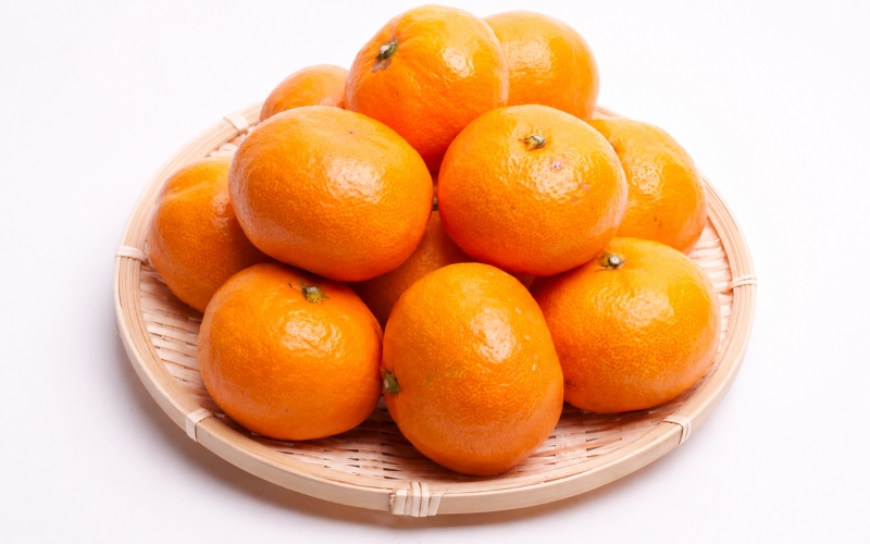 【先行予約】プレミアム有田みかん(完熟) 10kg+250g（傷み補償分） ※11月より発送【光センサー選果】 ※北海道・沖縄・離島配送不可 /みかん ミカン 果物 果実 有田 和歌山 フルーツ オレンジ【ikd215A】