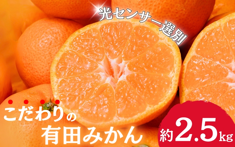 【2025年1月発送予約分】＼光センサー選別／農家直送 こだわりの有田みかん 約2.5kg＋75g(傷み補償分) 【ご家庭用】【1月発送】※北海道・沖縄・離島配送不可【nuk159-3A】