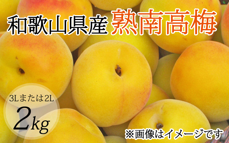 【梅干・梅酒用】（3Lまたは2L－2Kg）熟南高梅＜2025年6月上旬～7月上旬ごろに順次発送予定＞/ 梅 青梅 梅干 梅干し 大容量 梅酒 お酒