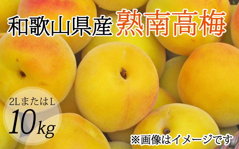 【梅干・梅酒用】（2LまたはL－10Kg）熟南高梅＜2025年6月上旬～7月上旬ごろに順次発送予定＞