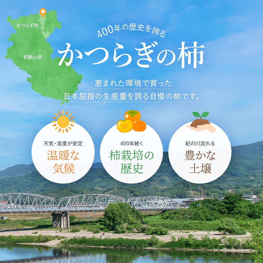 希少な柿【輝太郎】大玉6個～7個 コクのある甘さ！こだわり農家厳選 【2026年9月末～10月末頃に順次発送予定】/ 柿 かき 果物 フルーツ 輝太郎 デザート おやつ 和菓子 菓子 お菓子 和歌山産 和歌山県産【kgr018】
