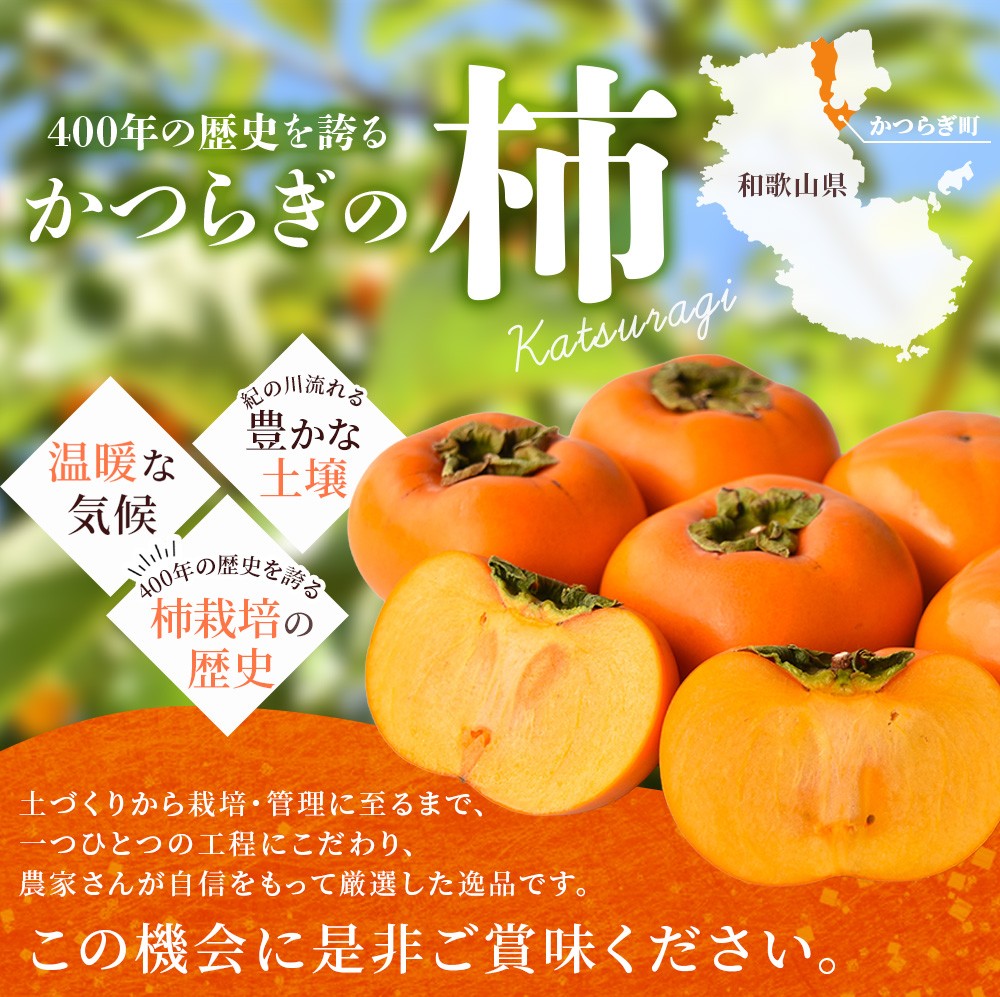 ã2026幎å
è¡äºçŽãçš®ç¡ãæ¿ æ©çåæ ¹æ¿ 2026幎9ææ«é ïœ10ææ«é ã«é 次çºéäºå®ïŒãå±ãæ¥æå®äžå¯ïŒ/ åæå±± æ¿ ãã ãã«ãŒã æç© ãã ãã® åæ ¹ çš®ç¡ããkgr003Aã