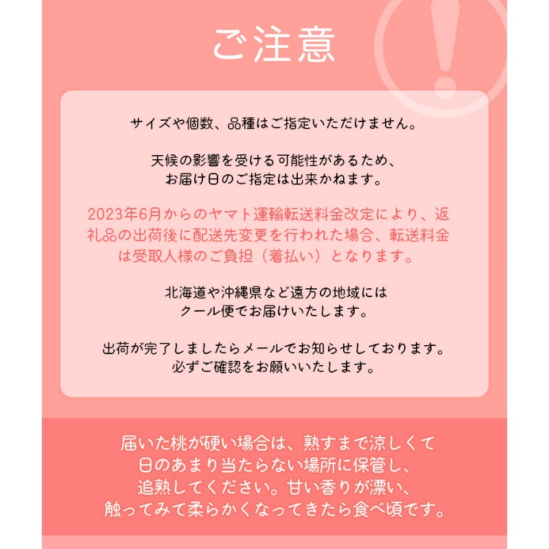【先行予約受付】和歌山県産 の 美味しい 桃 （11～15玉入り）【2026年6月中旬頃から8月上旬頃順次発送予定】 和歌山 もも モモ 桃 ギフト 贈り物 プレゼント 夏ギフト 果物 フルーツ 人気 産地直送 和歌山県 お取り寄せ【mat100C】