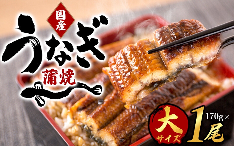 【国産　大型サイズ】ふっくら柔らか国産うなぎ蒲焼き　約２人前　化粧箱入【uot714A】