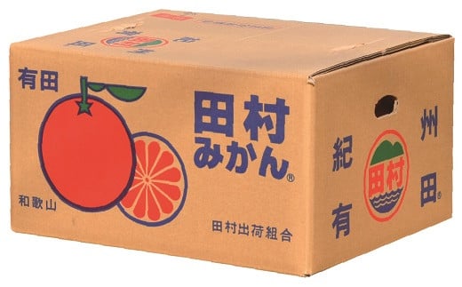 ãäºçŽåä»ãç°æã¿ãã ç§å 4kg ãµã€ãºããŸãã/çŽå·åæå±±æç°é¡æ¹¯æµ
çºç°æå°åºç£ â2026幎11æäžæ¬ïœ2027幎1æäžæ¬é ã«é 次çºéäºå®(ãå±ãæ¥æå®äžå¯)ãçŽäŒåœå±æå·Šè¡éæ¬èãsgtb307Bã