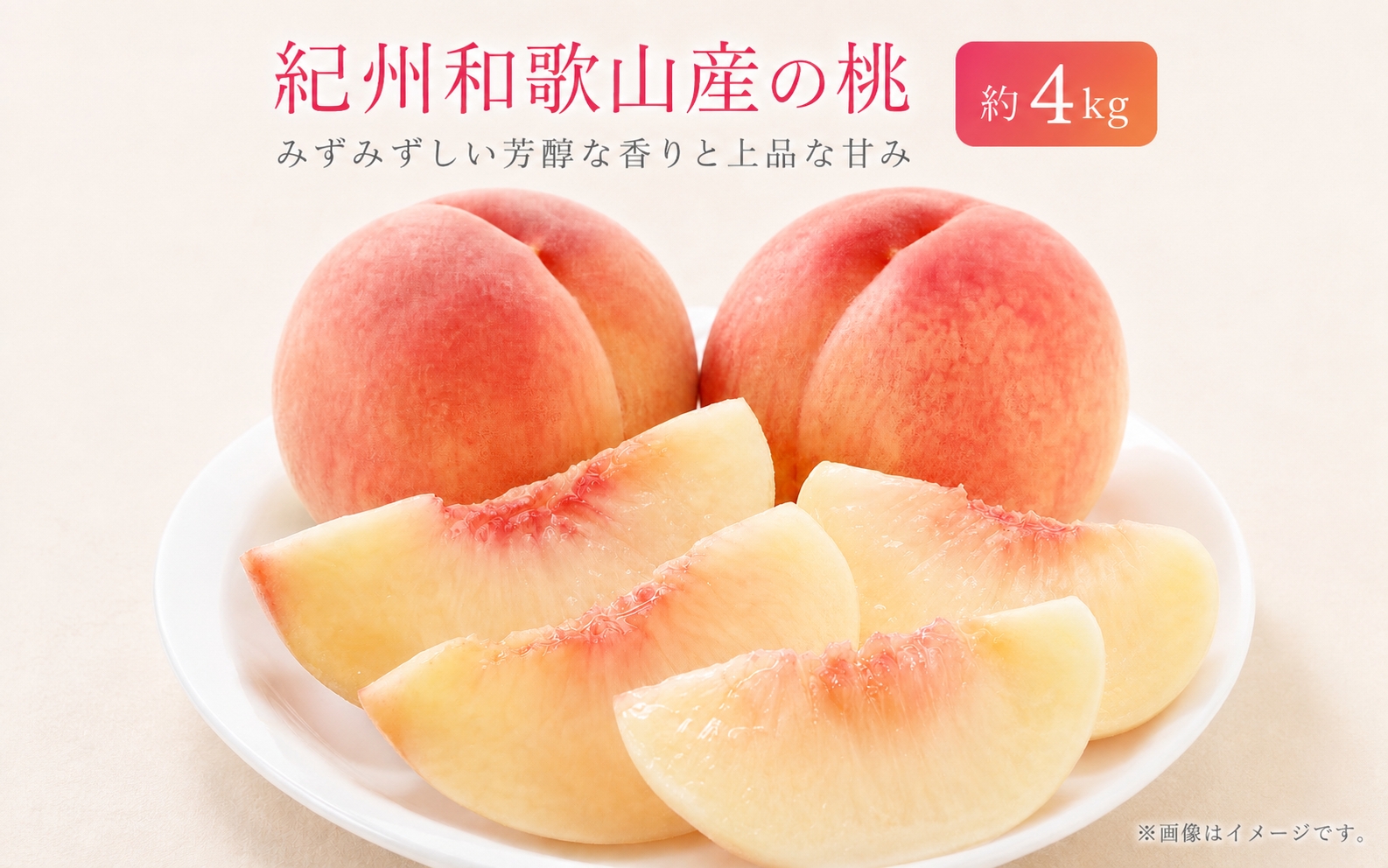 紀州和歌山産の桃　約4kg　化粧箱入	※2027年6月下旬頃〜8月上旬頃順次発送（お届け日指定不可）【uot723A】