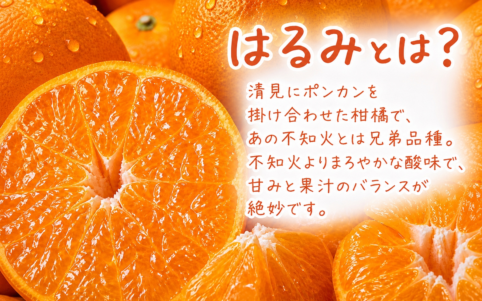 譫懆i縺キ繧翫キ繧! 螳檎溘ッ繧九∩ 邏5kg縲窶サ2027蟷エ1譛井ク区流鬆ス2027蟷エ2譛井ク頑流鬆縺ォ鬆谺。逋コ騾∽コ亥ョ(縺雁ア翫¢譌・謖螳壻ク榊庄) 縲訊ot732縲