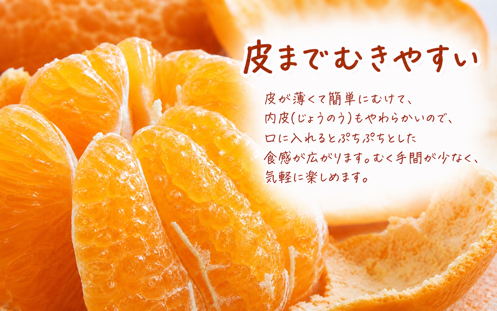 譫懆i縺キ繧翫キ繧! 螳檎溘ッ繧九∩ 邏5kg縲窶サ2027蟷エ1譛井ク区流鬆ス2027蟷エ2譛井ク頑流鬆縺ォ鬆谺。逋コ騾∽コ亥ョ(縺雁ア翫¢譌・謖螳壻ク榊庄) 縲訊ot732縲