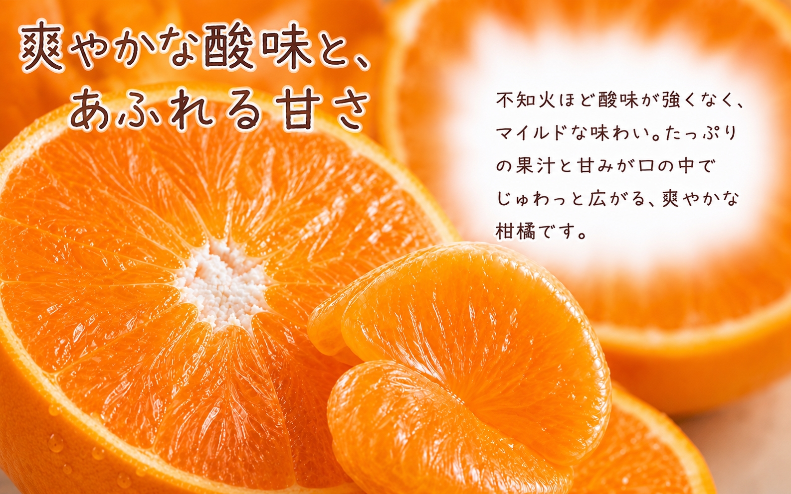 譫懆i縺キ繧翫キ繧! 螳檎溘ッ繧九∩ 邏5kg縲窶サ2027蟷エ1譛井ク区流鬆ス2027蟷エ2譛井ク頑流鬆縺ォ鬆谺。逋コ騾∽コ亥ョ(縺雁ア翫¢譌・謖螳壻ク榊庄) 縲訊ot732縲