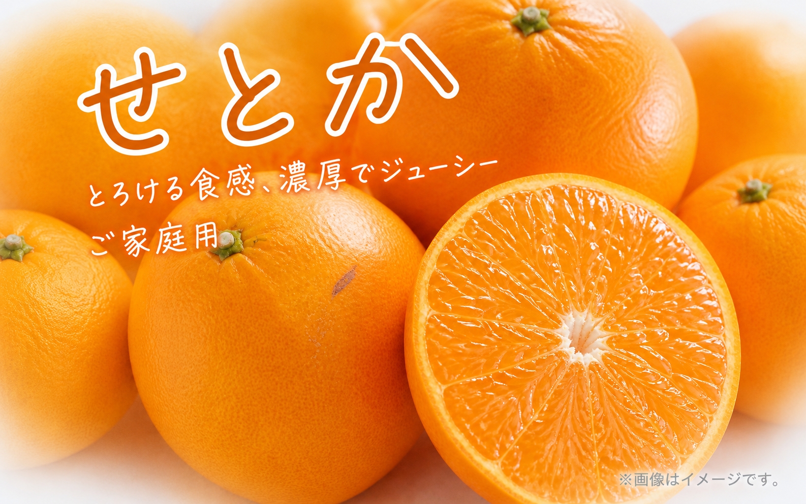 【ご家庭用訳あり】紀州和歌山産　せとか　約5kg　【先行予約】【みかん】　※2027年2月中旬頃〜2027年3月中旬頃発送予定（お届け日指定不可）【uot748A】