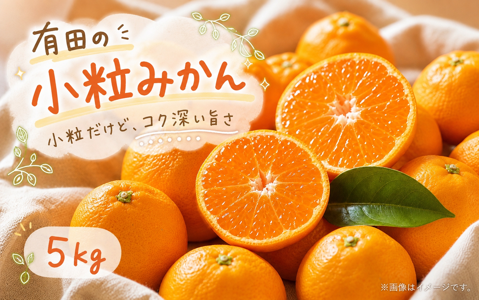 有田の小粒みかん5kg　(S～3Sサイズ混合) ※2026年11月下旬～2027年1月下旬頃に順次発送予定(お届け日指定不可)  / みかん ミカン 蜜柑 温州みかん 柑橘 フルーツ 果物 くだもの 和歌山【uot845】