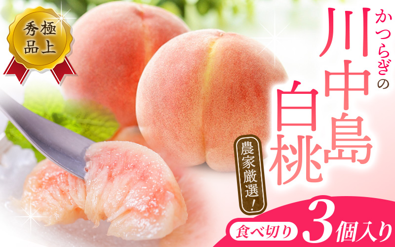 【予約受付】こだわり農家厳選 川中島白桃 和歌山産の桃 <大玉特秀品> 嬉しい食べきり容量 3玉 【2027年7月下旬から8月下旬順次発送予定】（お届け日指定不可）/ 桃 もも 川中島 白桃 フルーツ 果物 くだもの 【kgr012】