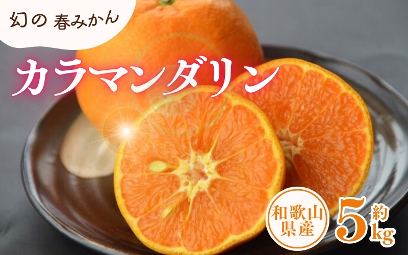 カラマンダリン 約5kg/サイズおまかせ　※2027年4月上旬～2027年5月上旬頃に順次発送予定(お届け日指定不可)　紀伊国屋文左衛門本舗【sgtb470A】
