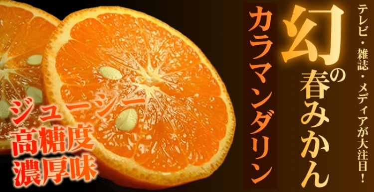 カラマンダリン 約5kg/サイズおまかせ　※2027年4月上旬～2027年5月上旬頃に順次発送予定(お届け日指定不可)　紀伊国屋文左衛門本舗【sgtb470A】