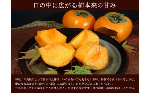 蜥梧ュ悟アア縺ョ 遞ョ縺ェ縺 譟ソ 邏7.5kg縲千ァ蜩シ壹し繧、繧コ繝サ蜩∫ィョ縺翫∪縺九○縲大柱豁悟アア逵檎肇/邏莨雁嵜螻区枚蟾ヲ陦幃摩譛ャ闊励窶サ2026蟷エ9譛井ク区流ス2026蟷エ11譛井ク区流鬆縺ォ鬆谺。逋コ騾∽コ亥ョ(縺雁ア翫¢譌・謖螳壻ク榊庄)縲尽gtb801B縲