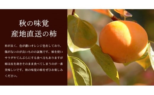 蜥梧ュ悟アア縺ョ 遞ョ縺ェ縺 譟ソ 邏7.5kg縲千ァ蜩シ壹し繧、繧コ繝サ蜩∫ィョ縺翫∪縺九○縲大柱豁悟アア逵檎肇/邏莨雁嵜螻区枚蟾ヲ陦幃摩譛ャ闊励窶サ2026蟷エ9譛井ク区流ス2026蟷エ11譛井ク区流鬆縺ォ鬆谺。逋コ騾∽コ亥ョ(縺雁ア翫¢譌・謖螳壻ク榊庄)縲尽gtb801B縲