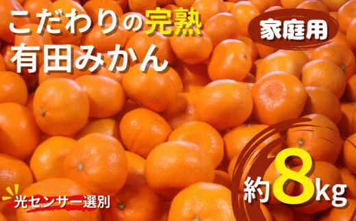 濃厚】有田の不知火約5kg（18玉～28玉おまかせ） ※2024年2月上旬～2024