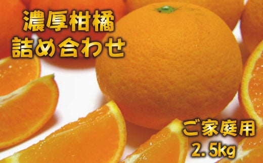 【先行予約】有田育ちの濃厚柑橘詰め合わせセット(ご家庭用)　約2.5kg【１月中旬～4月下旬頃順次発送】