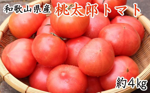 【新鮮】和歌山県産桃太郎トマト約4kg(L～2Lサイズおまかせ) 